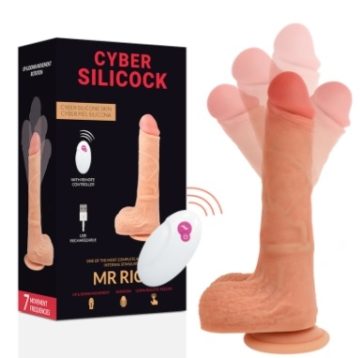 Mr Rick – CyberSilicock