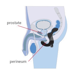 Duke Vibrador Prostatico de Fun Factory - Imagen 2