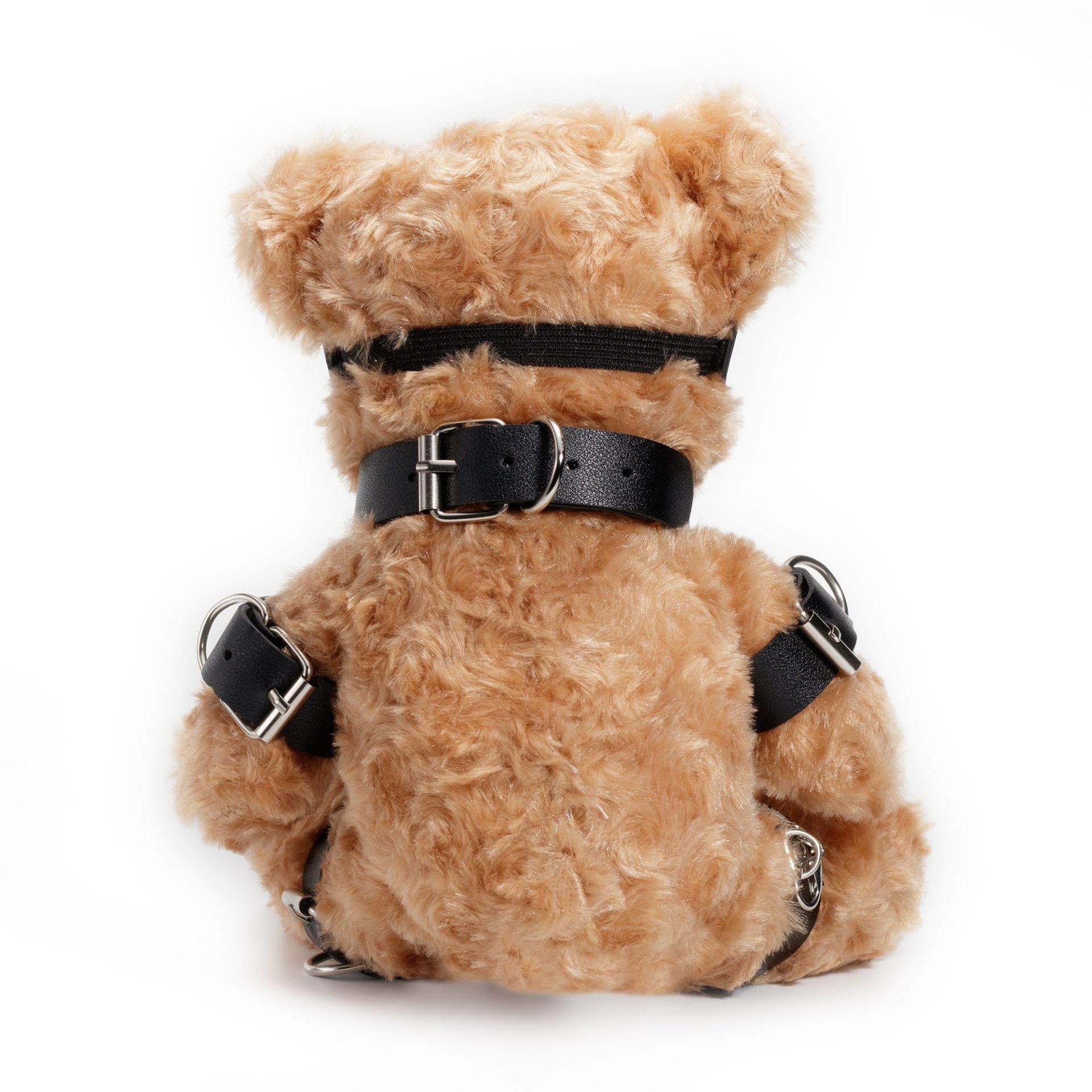 Oso Bondage - Imagen 4