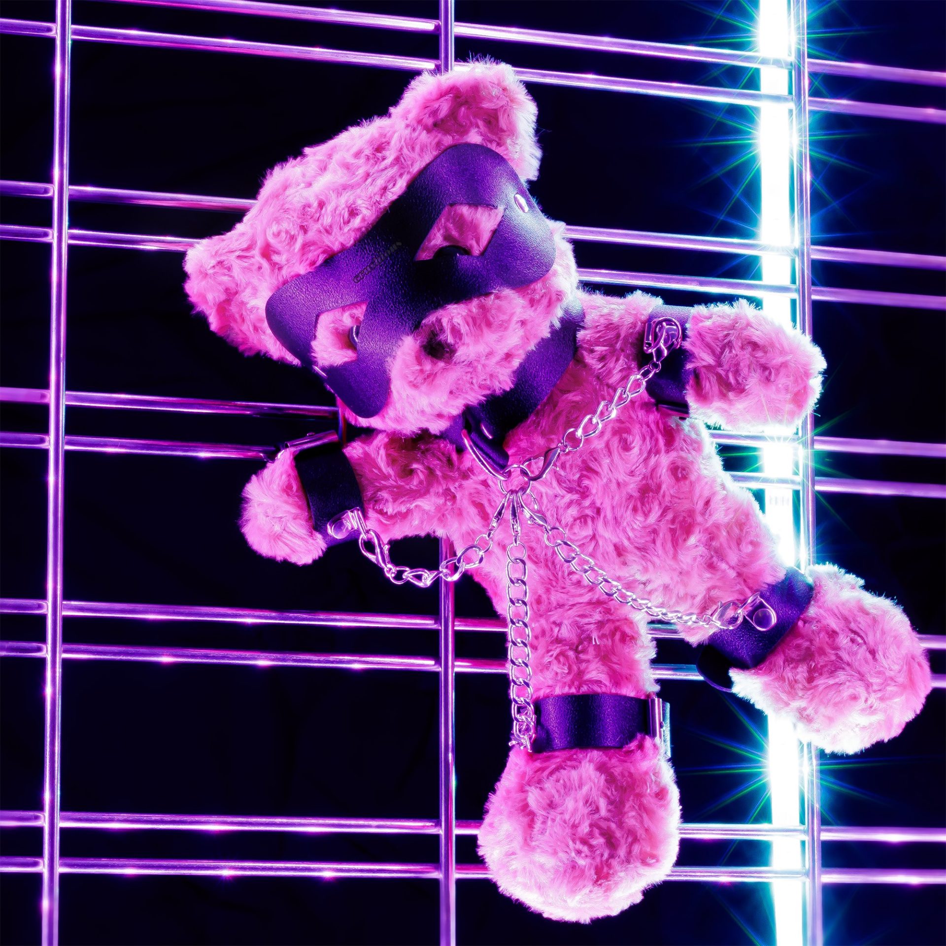 Oso Bondage - Imagen 6